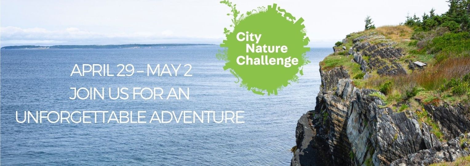 City Nature Challenge - The Maritimes